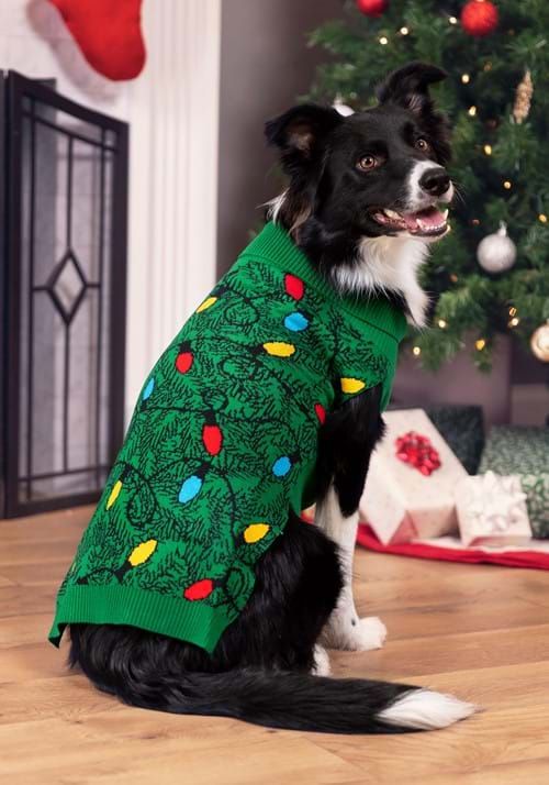 a dog wearing a green Christmas sweater with festive light decorations